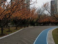 -苏州河梦清园环保主题公园