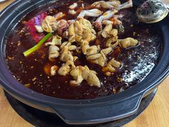 -金海椒罐罐鲢鱼(东方桂苑店)