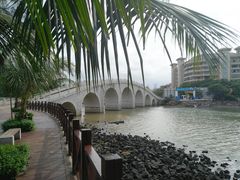 -万绿园