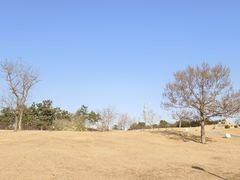 -小麦岛公园