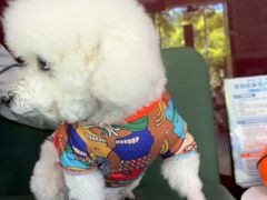 -顺强宠物诊所·狂犬免疫·夜诊·骨科(嘉定店)