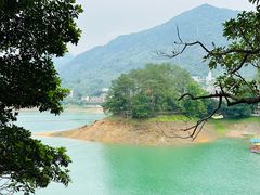 -广州市流溪河国家森林公园