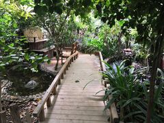 -呀路古热带植物园