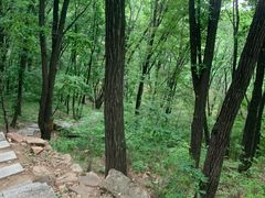 -吉林拉法山