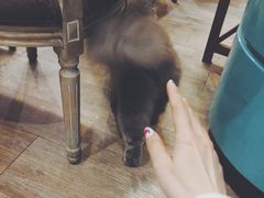 -塔拉苏咖啡(中信丹阳花园店)
