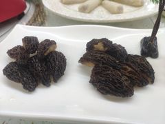 黄金羊肚菌-墨脱石锅椰子鸡•海鲜糟粕醋(榆亚路店)