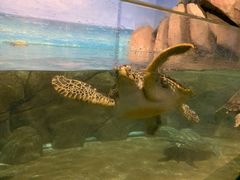 -福州罗源湾海洋世界旅游区
