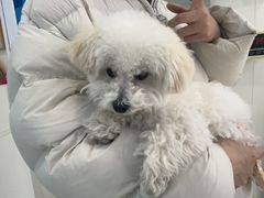 -美联众合动物医院·24h京西诊疗中心