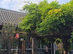 -宛平九号