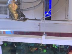 -石牌岭小亮蒸虾•湖北老字号(左岭店)