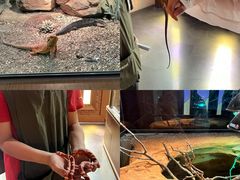 -帕帕拉兹宠物(亚洲旗舰店)