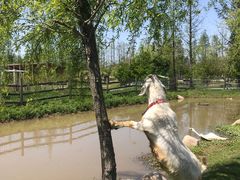 -前小桔亲子创意农场·草莓采摘·露营烧烤