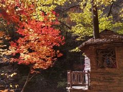 -关门山森林公园