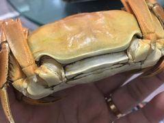 -乡乐园蟹庄·阳澄湖农家乐