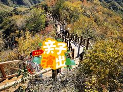 -大岭沟猕猴桃谷风景区