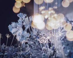 -中谷小南国花园酒店·宴会厅