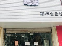 -叮叮猫咪生活馆