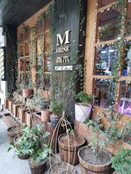 -青木造型HAIR·あおき髪を刈る潮人店