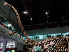 -自贡恐龙博物馆