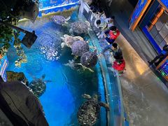 -烟台海昌鲸鲨海洋公园