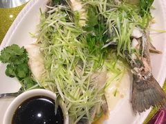 青斑-鱼乐轩海鲜专门店
