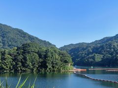-广州市石门国家森林公园