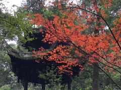 -凤栖山