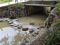 -杨厝六十六农庄农舍(杨厝路店)