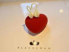 -BLACKSWAN黑天鹅(环球店)