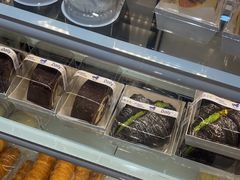 -小飞象面包公社(珠江路金鹰店)