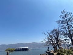 -才村湿地公园