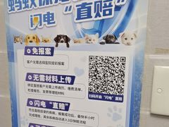 -芭比堂动物医院·心脏科·老年急重症·夜诊·吉雅分院