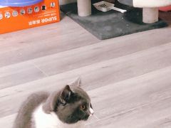 -罗莎蛋糕(建设路店)