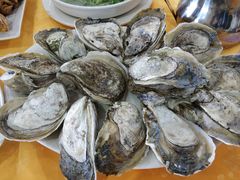 -蚝专家(北滘店)