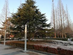 -汇泉广场