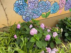 -常州古运河南大街文化旅游区-人民公园