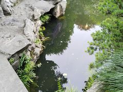-胡雪岩故居