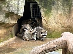 -杭州野生动物世界