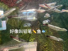 -青藏高原野生动物园