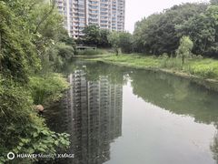 -洋湖国家湿地公园