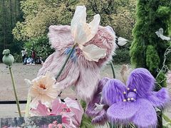 -上海共青森林公园