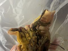 -美联众合动物医院·24h转诊中心