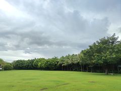 -深圳湾公园(南山区)