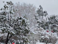 -橘子洲景区