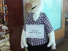 -西沃古尔·拉姆古兰爵士国际机场