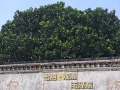 -观潮胜地公园