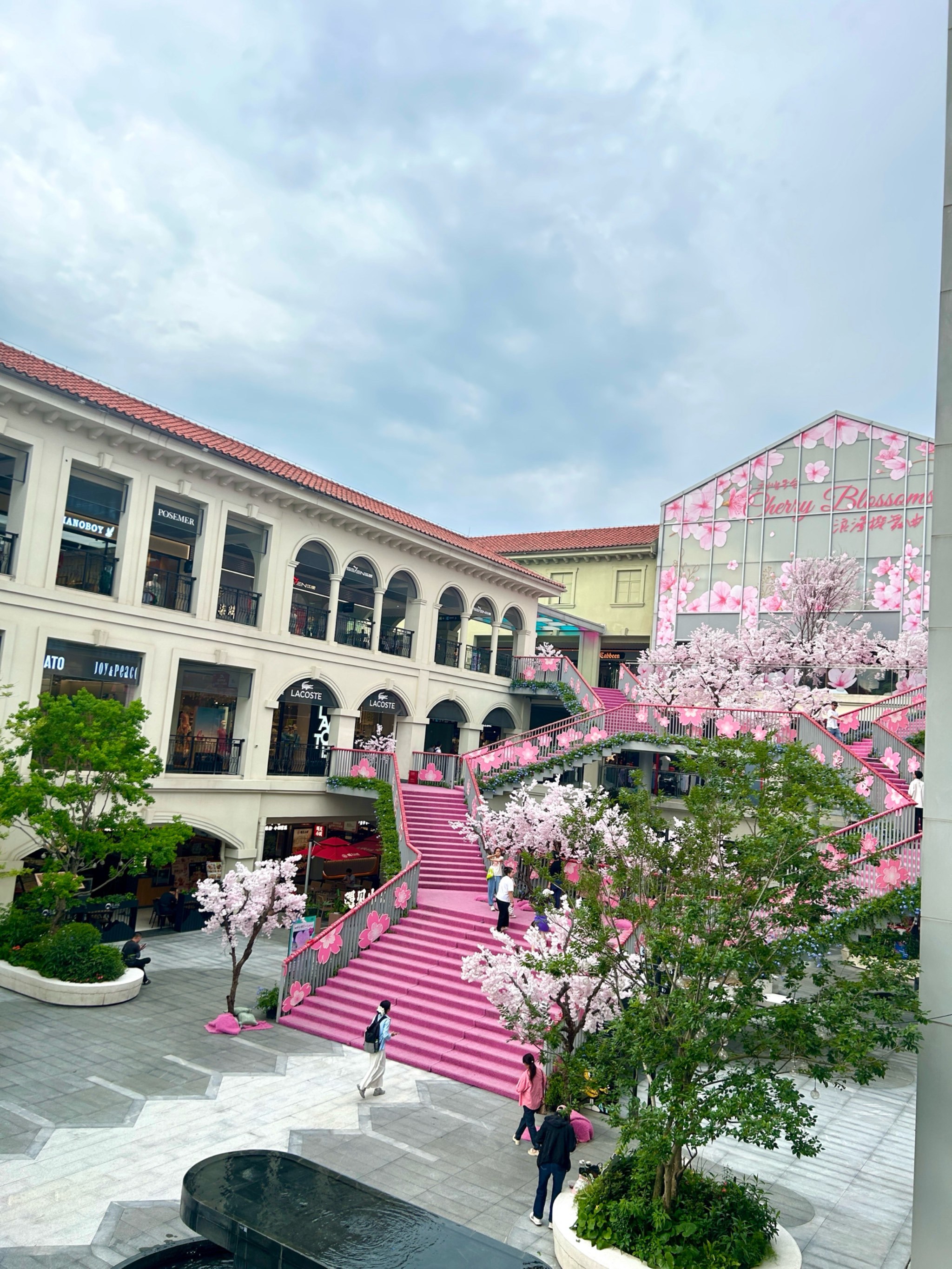 🌸地铁直达0元樱花小镇🌸 520约会首选地💖