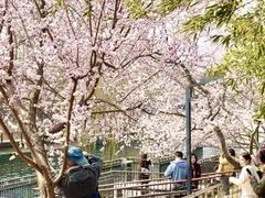 -安定门(地铁站)