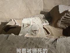 -洛阳周王城天子驾六博物馆