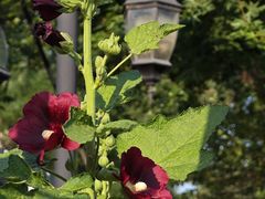 -元大都城垣遗址公园